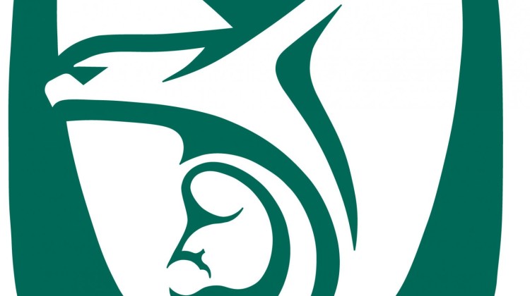 logo-IMSS