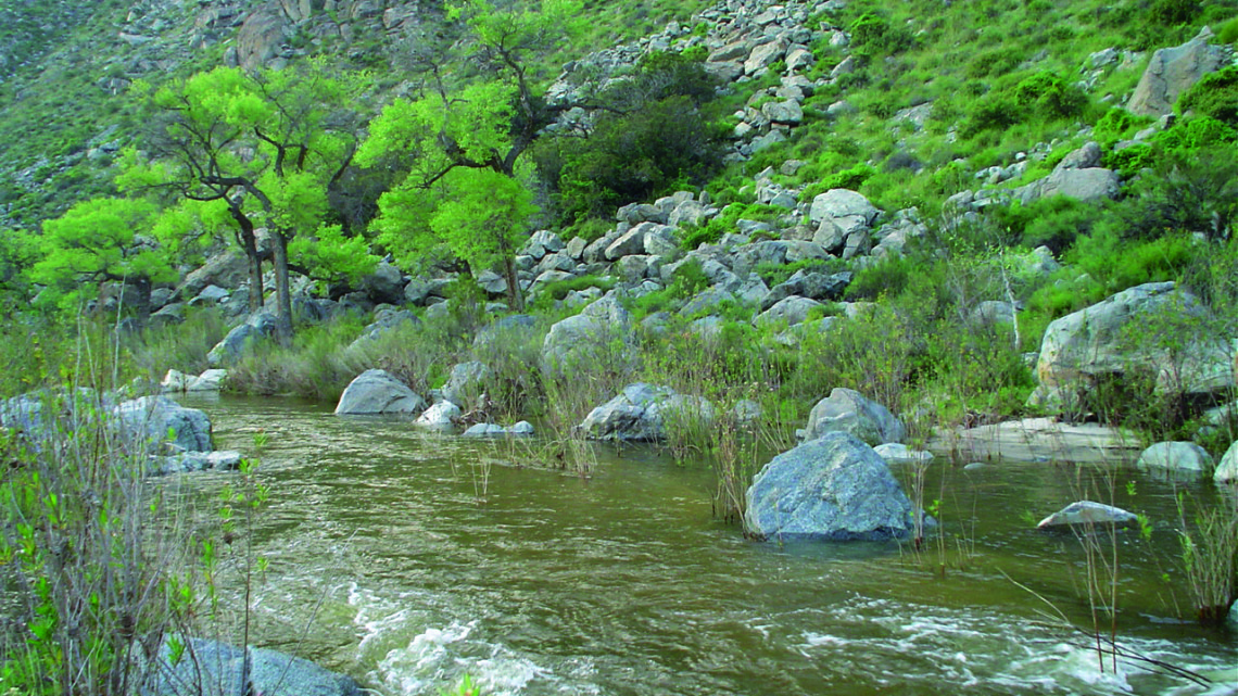 cascada arroyo de Gpe. dom. 6 marzo 05 009